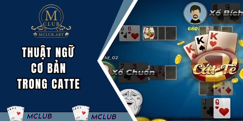 Thuật ngữ cơ bản trong catte