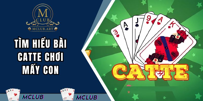Tìm hiểu bài catte chơi mấy con