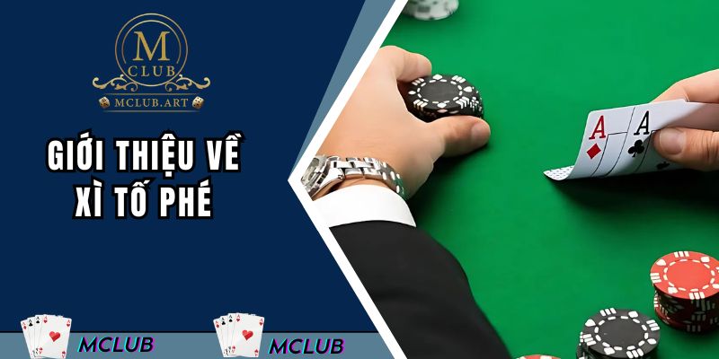 Giới thiệu về xì tố phé