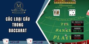 cac-loai-cau-trong-baccarat-dai-dien