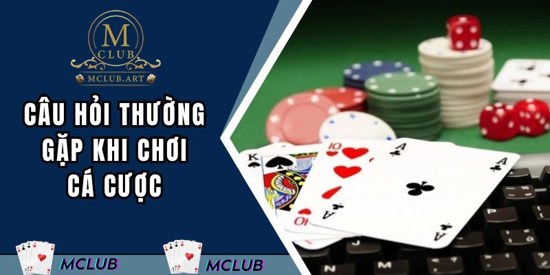 Câu hỏi thường gặp khi chơi cá cược tại nhà cái